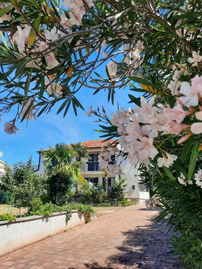 Apartments Palm House Rovinj Zewnętrze zdjęcie