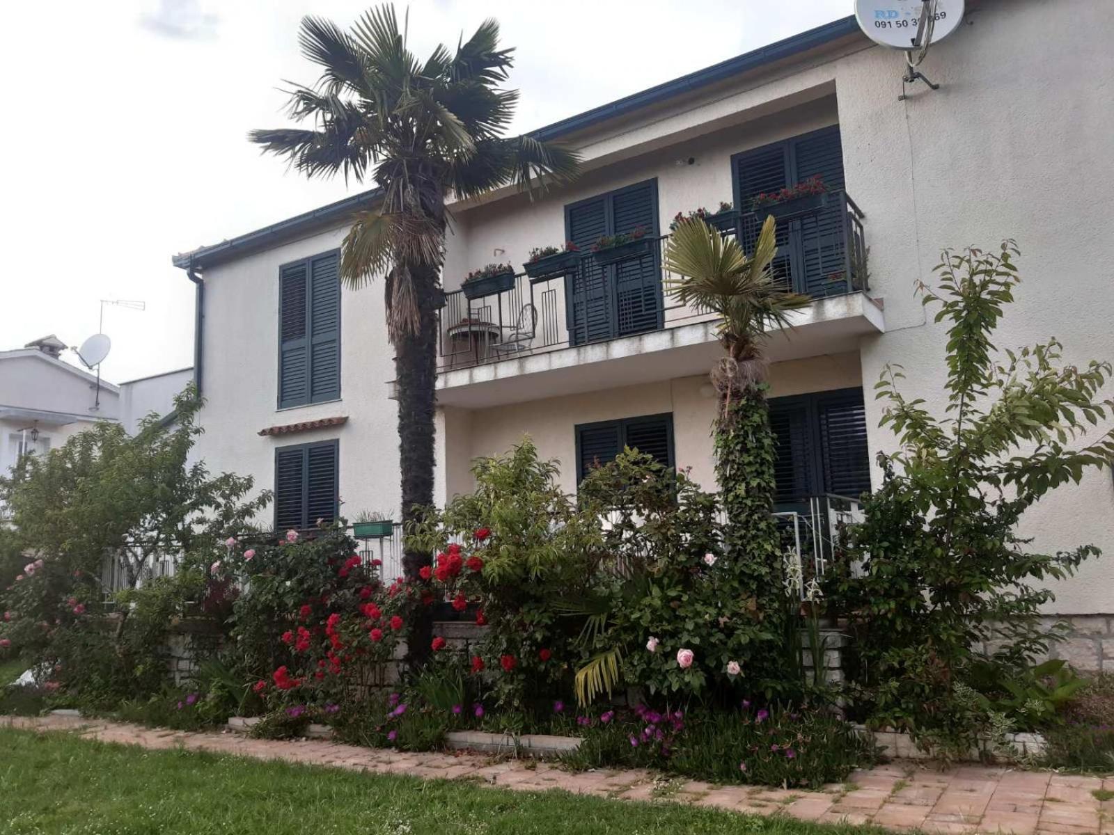 Apartments Palm House Rovinj Zewnętrze zdjęcie