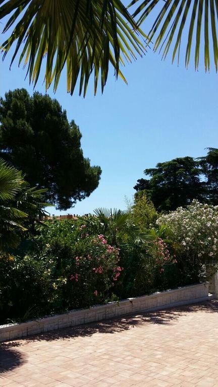Apartments Palm House Rovinj Zewnętrze zdjęcie