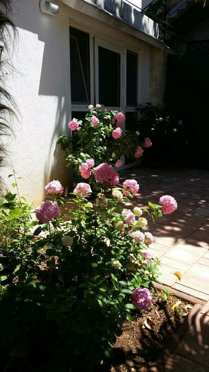 Apartments Palm House Rovinj Zewnętrze zdjęcie